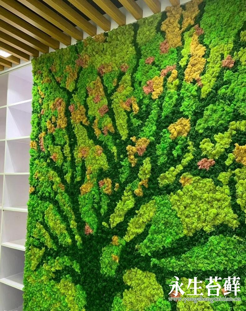 庭院景观绿化方案|施工