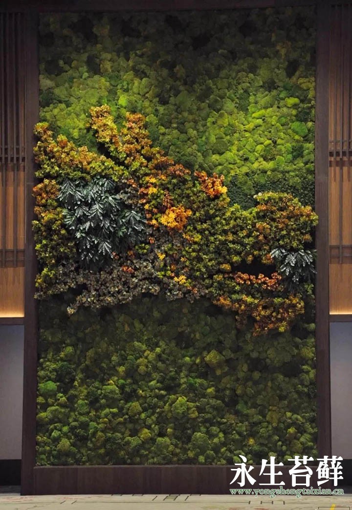 苔藓植物墙加仿真植物