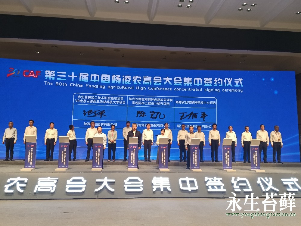 我公司在第三十届杨凌农业科技博览会上成功签约永生苔藓技术研发项目