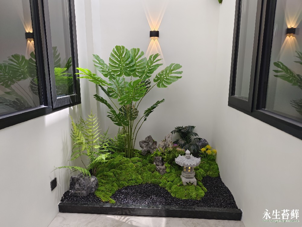 庆阳苔藓景观
