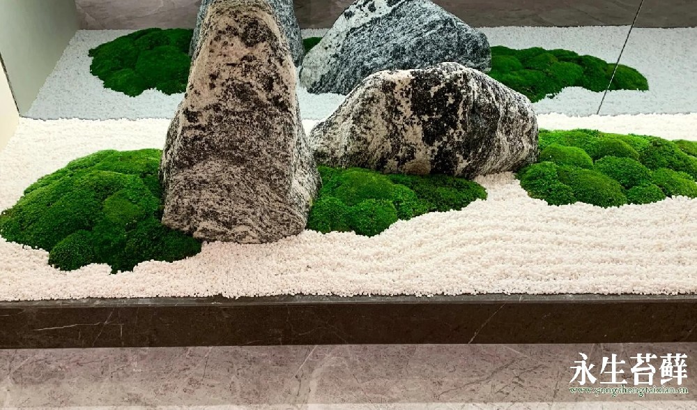枯山水造景