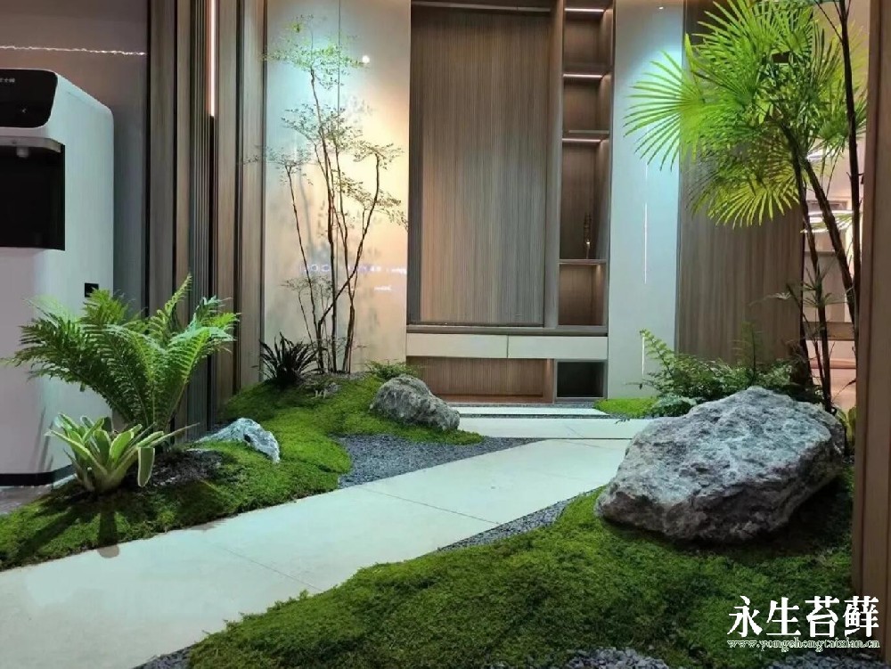 入户微景观