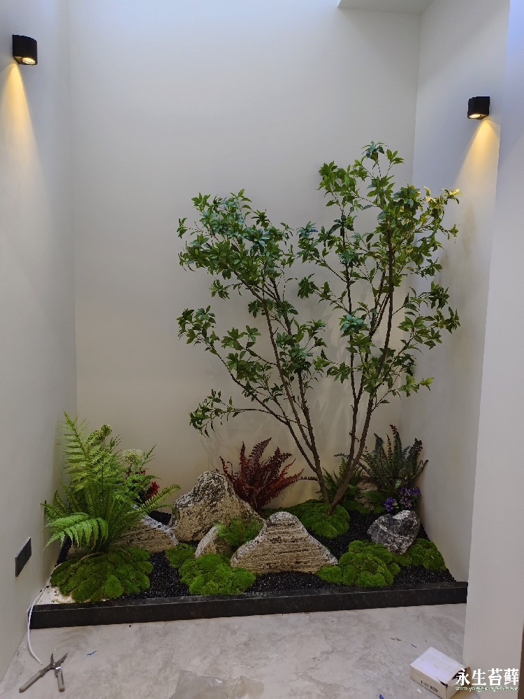甘肃室内景观制作
